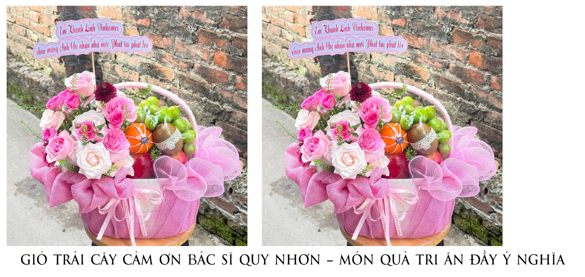GiỎ TrÁi CÂy CẢm Ơn BÁc SĨ Quy NhƠn – MÓn QuÀ Tri Ân ĐẦy Ý NghĨa