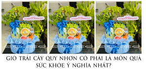 GiỎ TrÁi CÂy Quy NhƠn CÓ PhẢi LÀ MÓn QuÀ SỨc KhỎe Ý NghĨa NhẤt