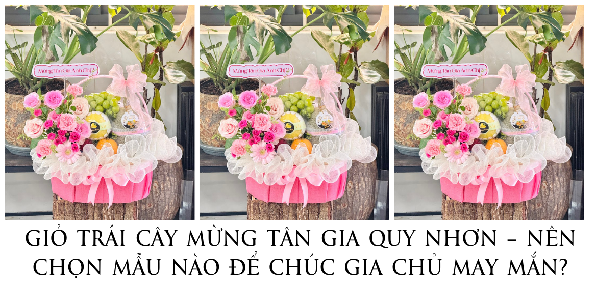 GiỎ TrÁi CÂy MỪng TÂn Gia Quy NhƠn – NÊn ChỌn MẪu NÀo ĐỂ ChÚc Gia ChỦ May MẮn