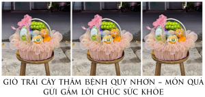 GiỎ TrÁi CÂy ThĂm BỆnh Quy NhƠn – MÓn QuÀ GỬi GẮm LỜi ChÚc SỨc KhỎe