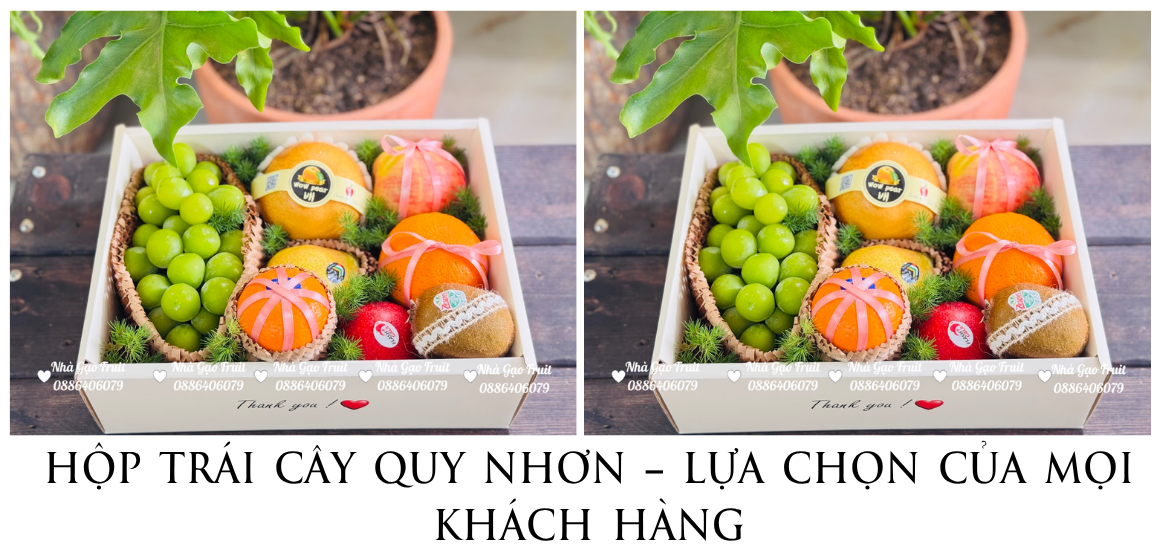 HỘp TrÁi CÂy Quy NhƠn – LỰa ChỌn CỦa MỌi KhÁch HÀng