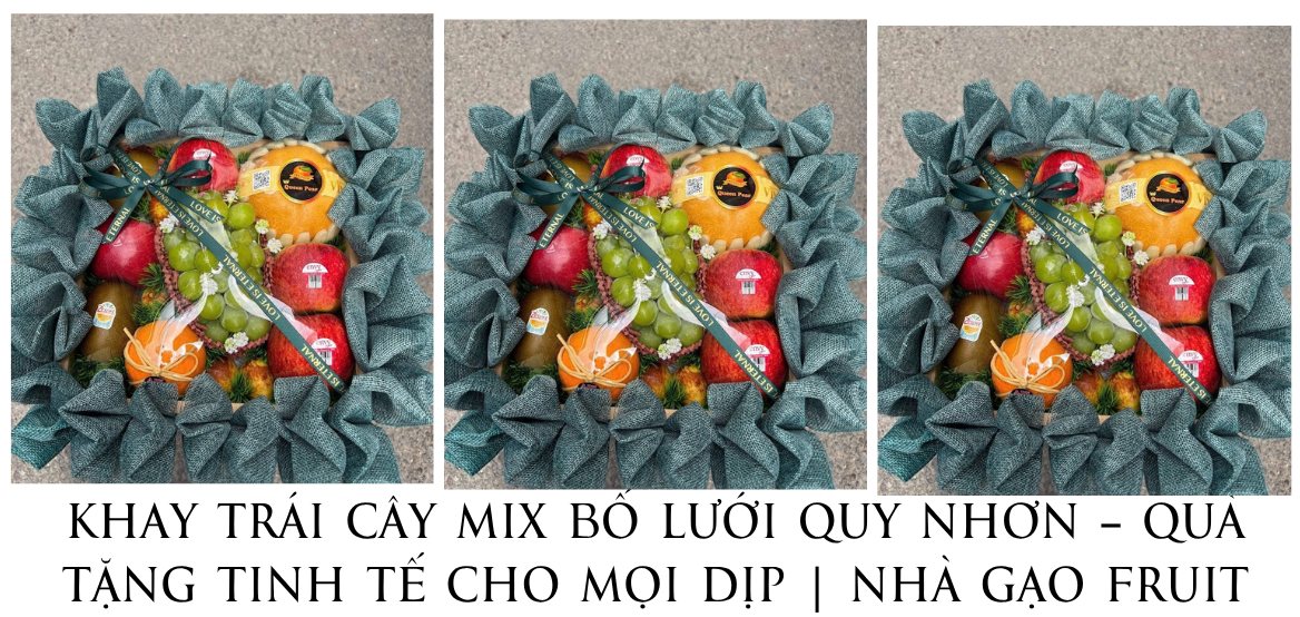 Khay TrÁi CÂy Mix BỐ LƯỚi Quy NhƠn – QuÀ TẶng Tinh TẾ Cho MỌi DỊp NhÀ GẠo Fruit