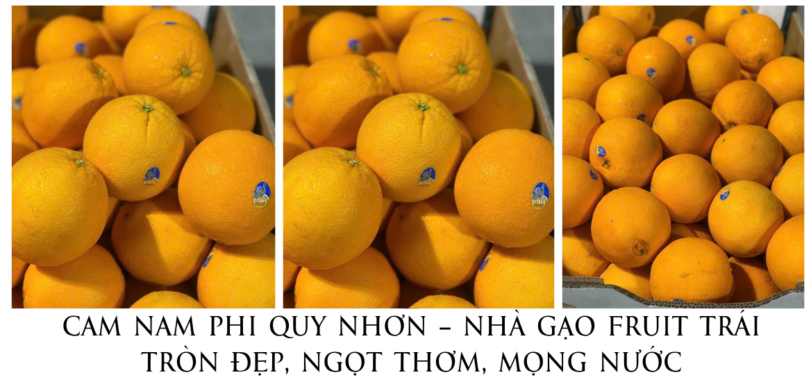 Cam Nam Phi Quy NhƠn – NhÀ GẠo Fruit TrÁi TrÒn ĐẸp, NgỌt ThƠm, MỌng NƯỚc