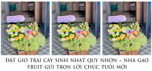 ĐẶt GiỎ TrÁi CÂy Sinh NhẬt Quy NhƠn – NhÀ GẠo Fruit GỬi TrỌn LỜi ChÚc TuỔi MỚi