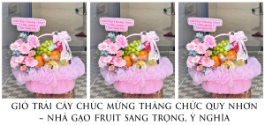 GiỎ TrÁi CÂy ChÚc MỪng ThĂng ChỨc Quy NhƠn – NhÀ GẠo Fruit Sang TrỌng, Ý NghĨa