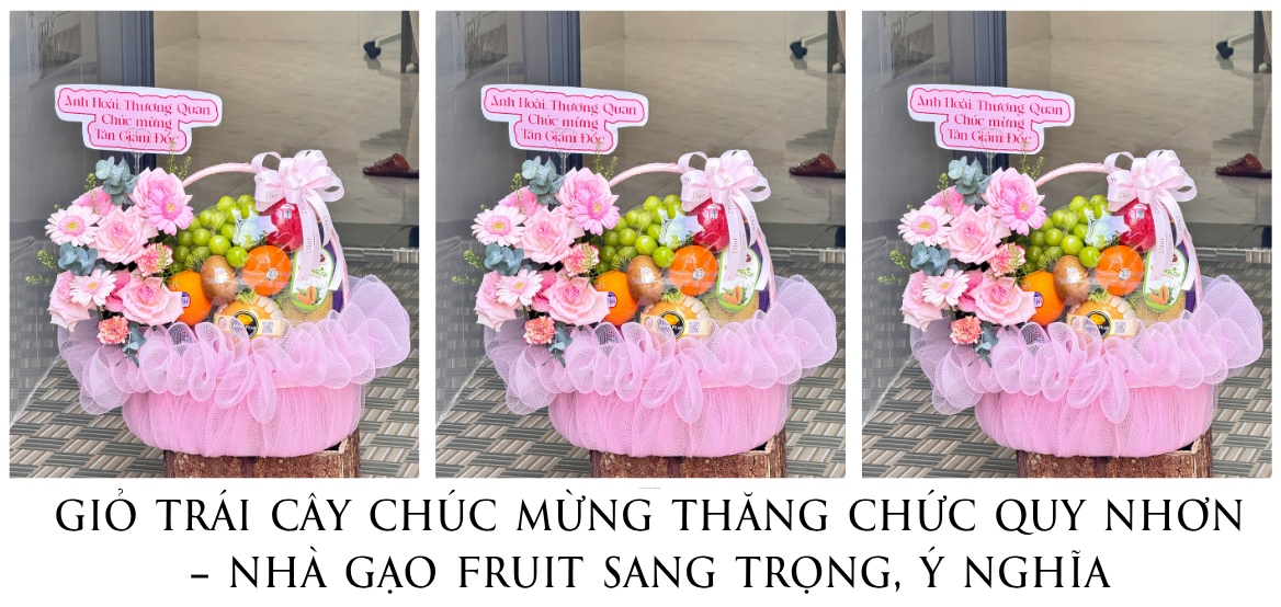 GiỎ TrÁi CÂy ChÚc MỪng ThĂng ChỨc Quy NhƠn – NhÀ GẠo Fruit Sang TrỌng, Ý NghĨa