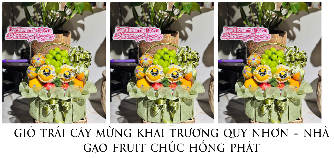 GiỎ TrÁi CÂy MỪng Khai TrƯƠng Quy NhƠn – NhÀ GẠo Fruit ChÚc HỒng PhÁt