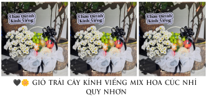 🖤🌼 GiỎ TrÁi CÂy KÍnh ViẾng Mix Hoa CÚc NhÍ